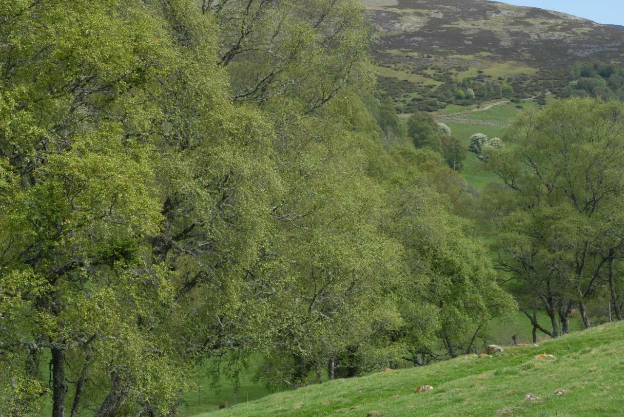 Howe Of Torbeg Ballater Zewnętrze zdjęcie